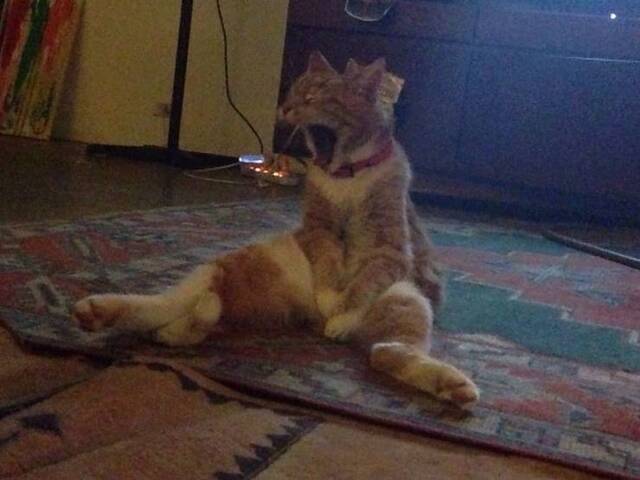 Bildschirmarbeiter - Picdump 31.05.2019