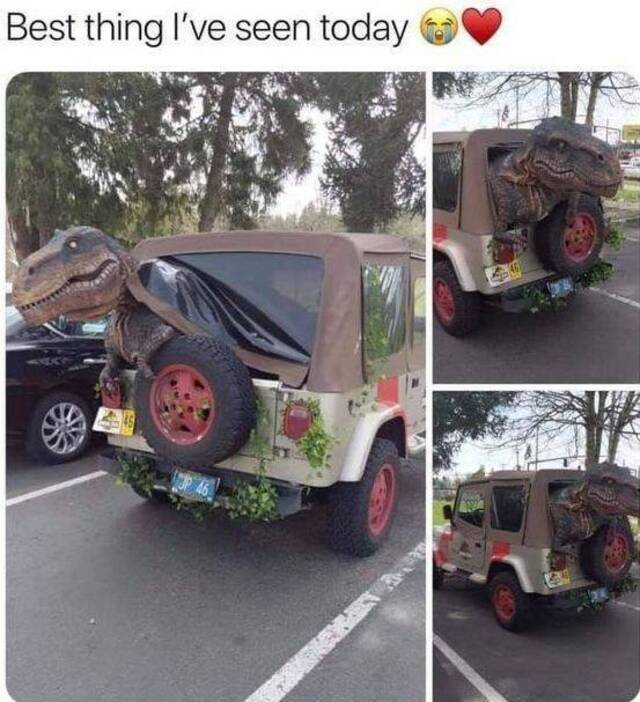 Bildschirmarbeiter - Picdump 31.05.2019