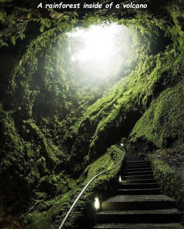 Bildschirmarbeiter - Picdump 31.05.2019