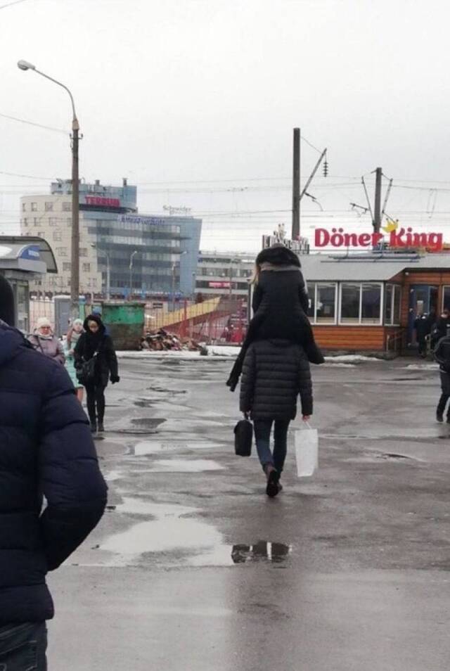 Bildschirmarbeiter - Picdump 31.05.2019