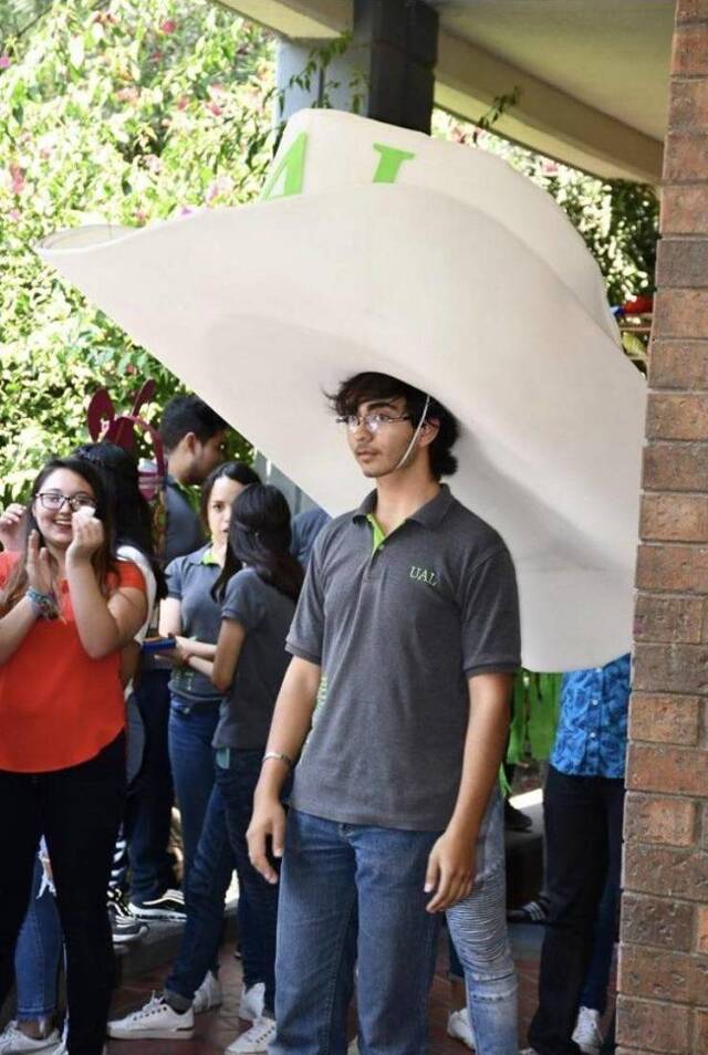 Bildschirmarbeiter - Picdump 31.05.2019