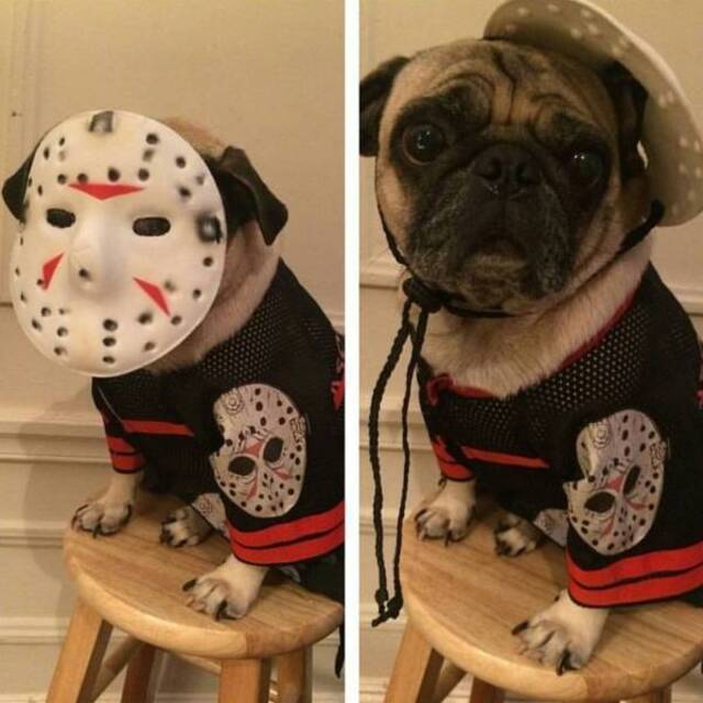 Bildschirmarbeiter - Picdump 31.05.2019