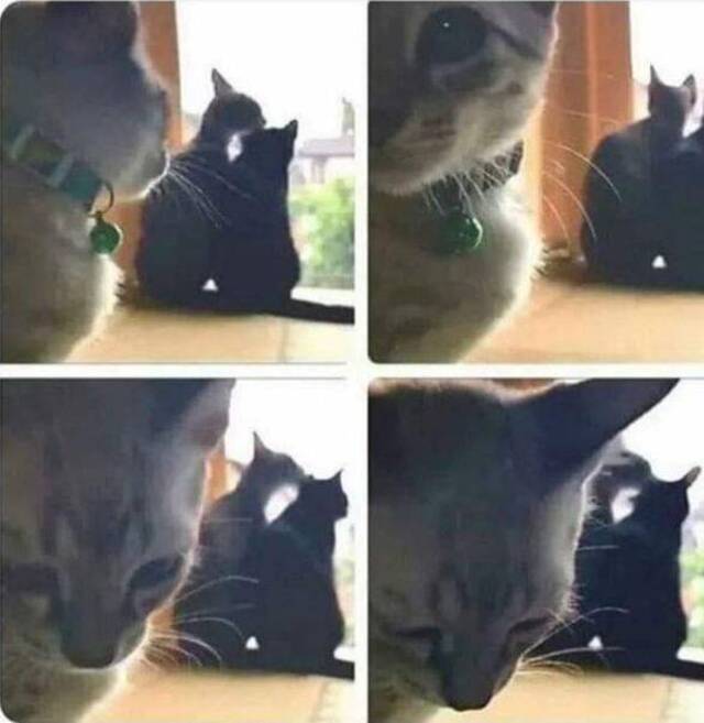 Bildschirmarbeiter - Picdump 31.05.2019