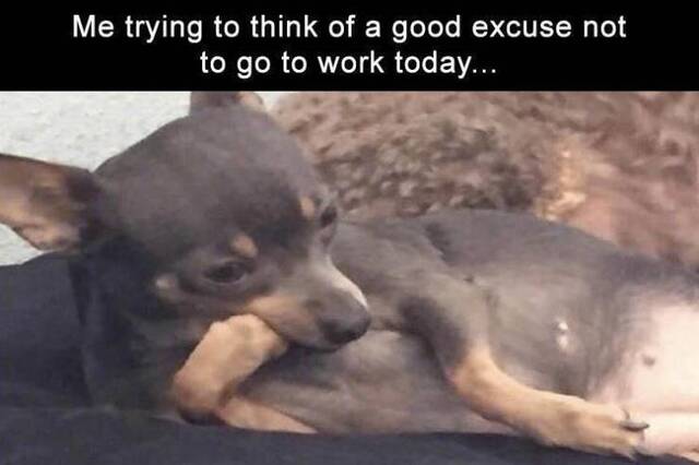 Bildschirmarbeiter - Picdump 31.05.2019