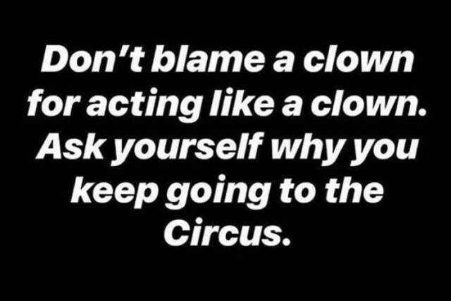 Bildschirmarbeiter - Picdump 31.05.2019