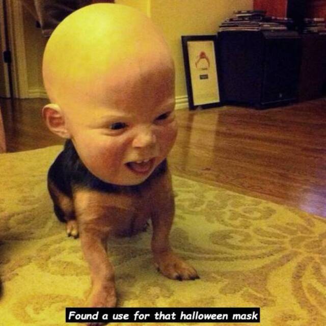 Bildschirmarbeiter - Picdump 07.06.2019