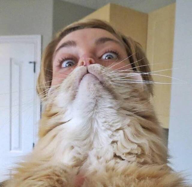 Bildschirmarbeiter - Picdump 07.06.2019