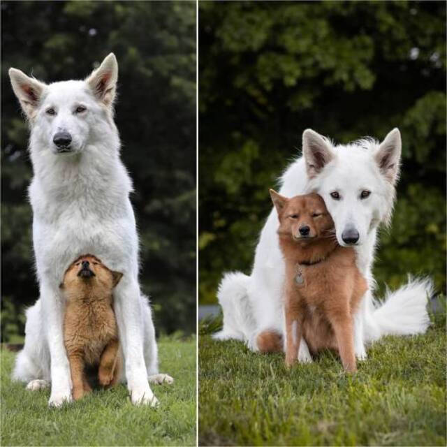 Bildschirmarbeiter - Picdump 07.06.2019