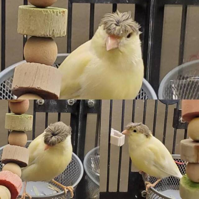 Bildschirmarbeiter - Picdump 07.06.2019