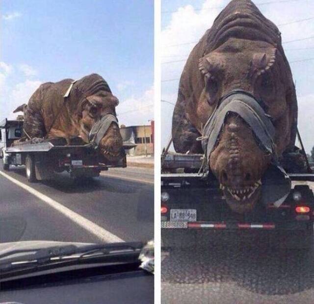 Bildschirmarbeiter - Picdump 07.06.2019