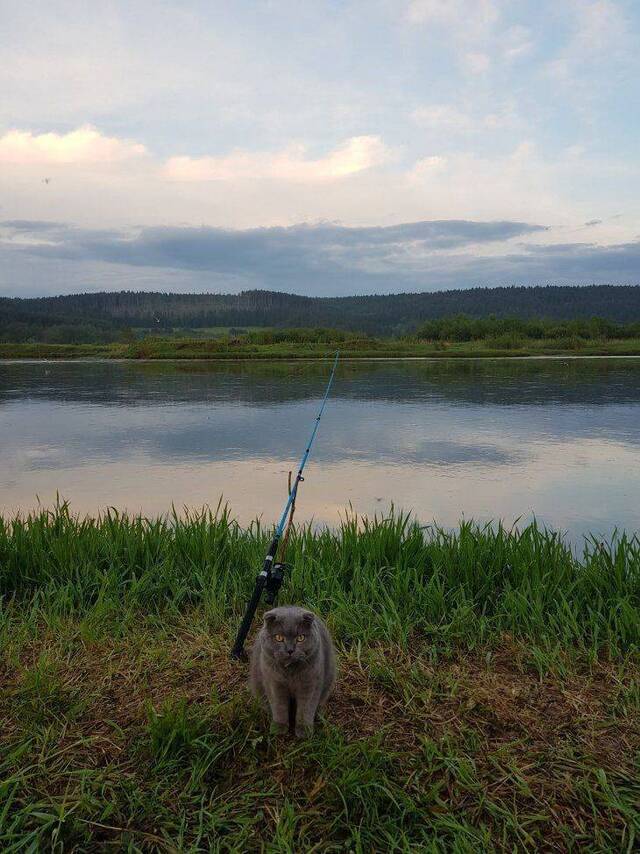 Bildschirmarbeiter - Picdump 07.06.2019