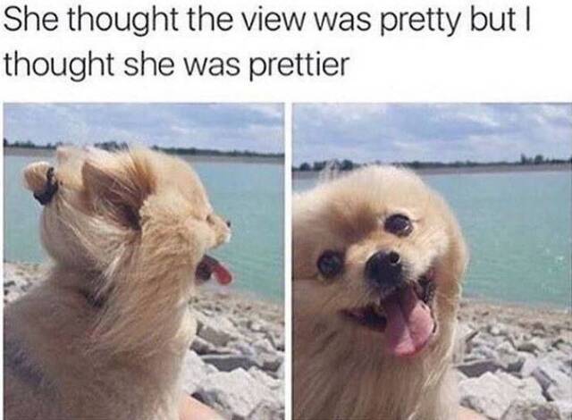 Bildschirmarbeiter - Picdump 07.06.2019