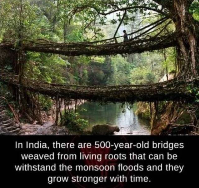 Bildschirmarbeiter - Picdump 07.06.2019