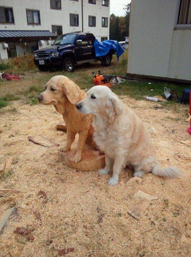 Bildschirmarbeiter - Picdump 07.06.2019