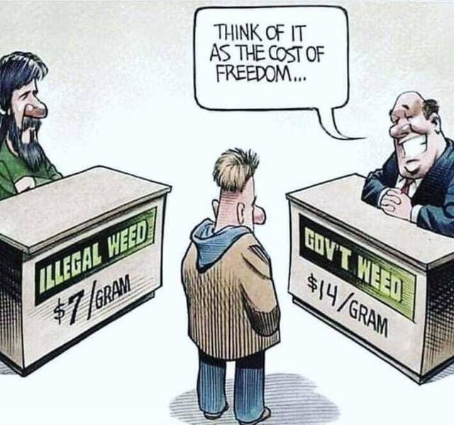 Bildschirmarbeiter - Picdump 07.06.2019