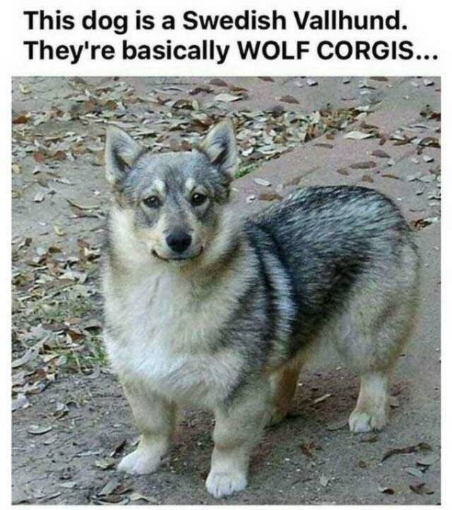 Bildschirmarbeiter - Picdump 07.06.2019