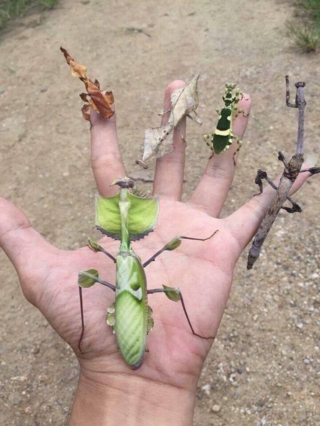 Bildschirmarbeiter - Picdump 07.06.2019