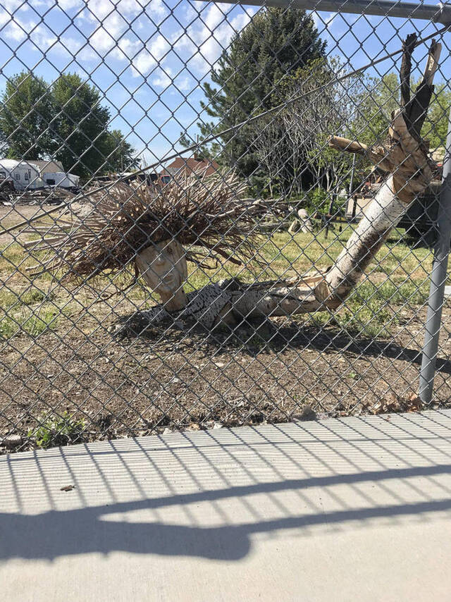 Bildschirmarbeiter - Picdump 07.06.2019