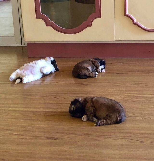 Bildschirmarbeiter - Picdump 07.06.2019