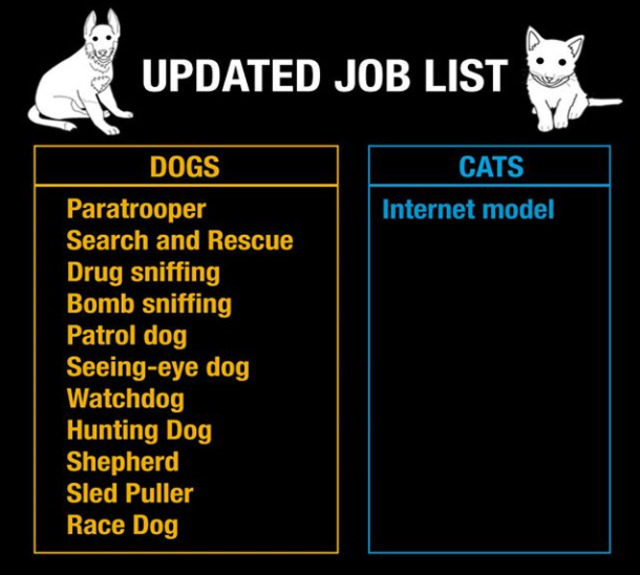 Bildschirmarbeiter - Picdump 12.07.2019