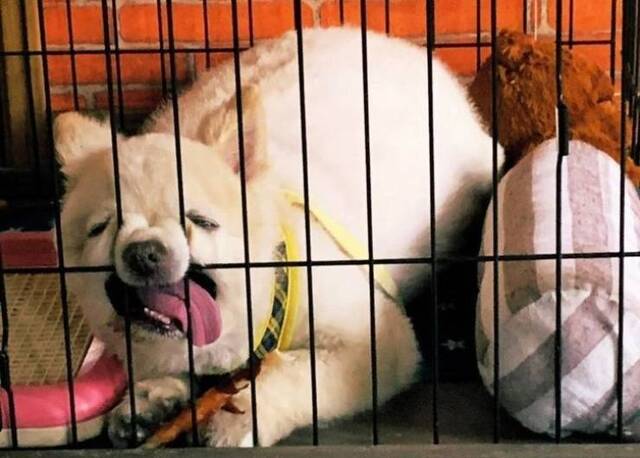 Bildschirmarbeiter - Picdump 12.07.2019