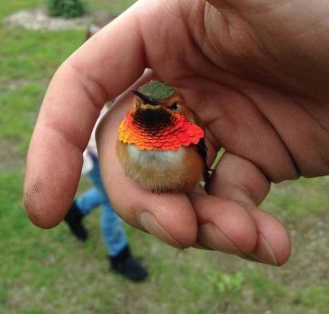 Bildschirmarbeiter - Picdump 12.07.2019