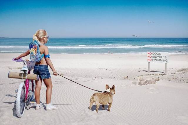 Bildschirmarbeiter - Picdump 12.07.2019