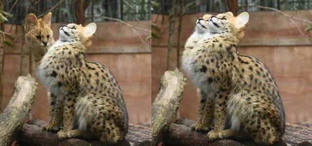 Bildschirmarbeiter - Picdump 12.07.2019