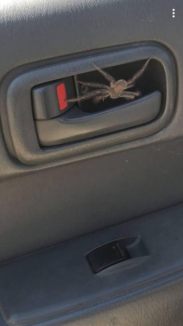 Bildschirmarbeiter - Picdump 12.07.2019