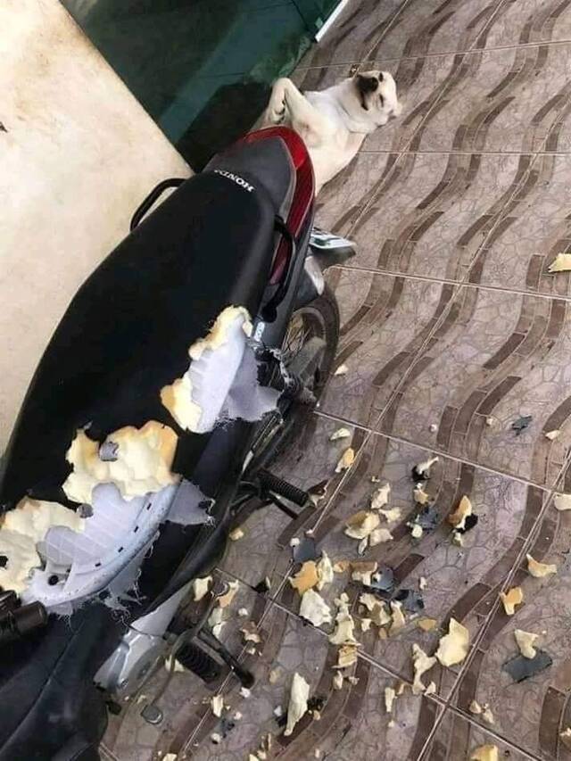 Bildschirmarbeiter - Picdump 12.07.2019