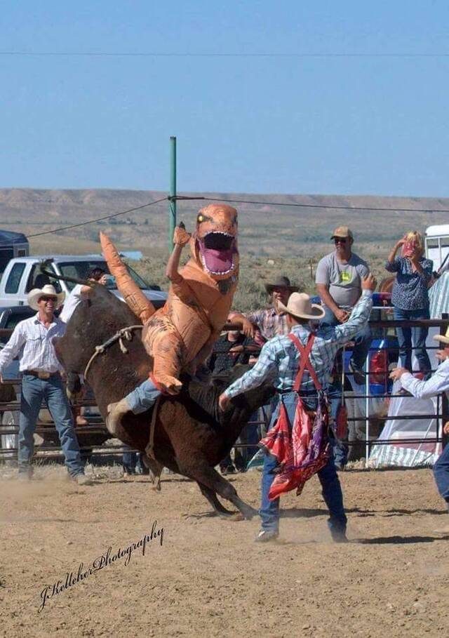 Bildschirmarbeiter - Picdump 12.07.2019