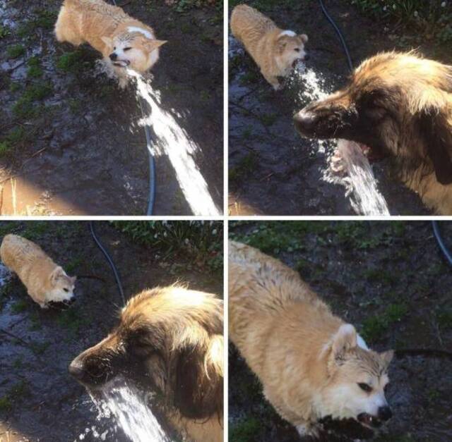 Bildschirmarbeiter - Picdump 12.07.2019