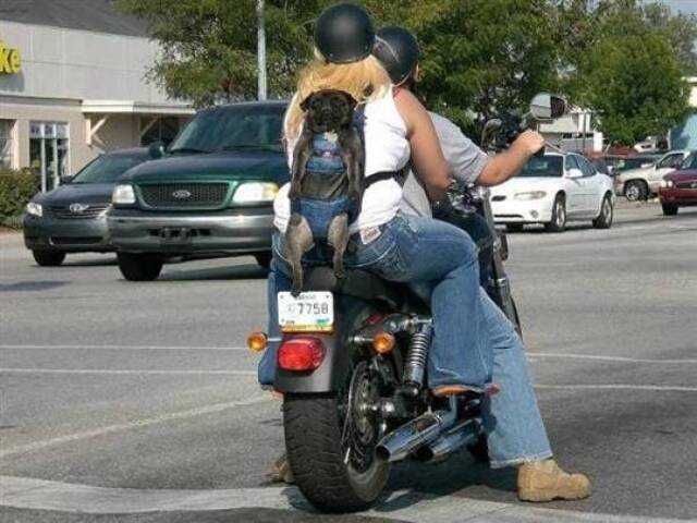 Bildschirmarbeiter - Picdump 12.07.2019