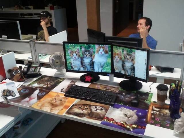 Bildschirmarbeiter - Picdump 12.07.2019