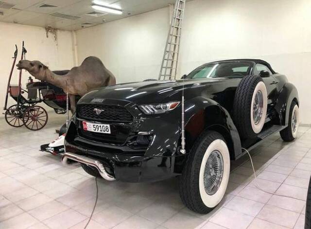 Bildschirmarbeiter - Picdump 26.07.2019