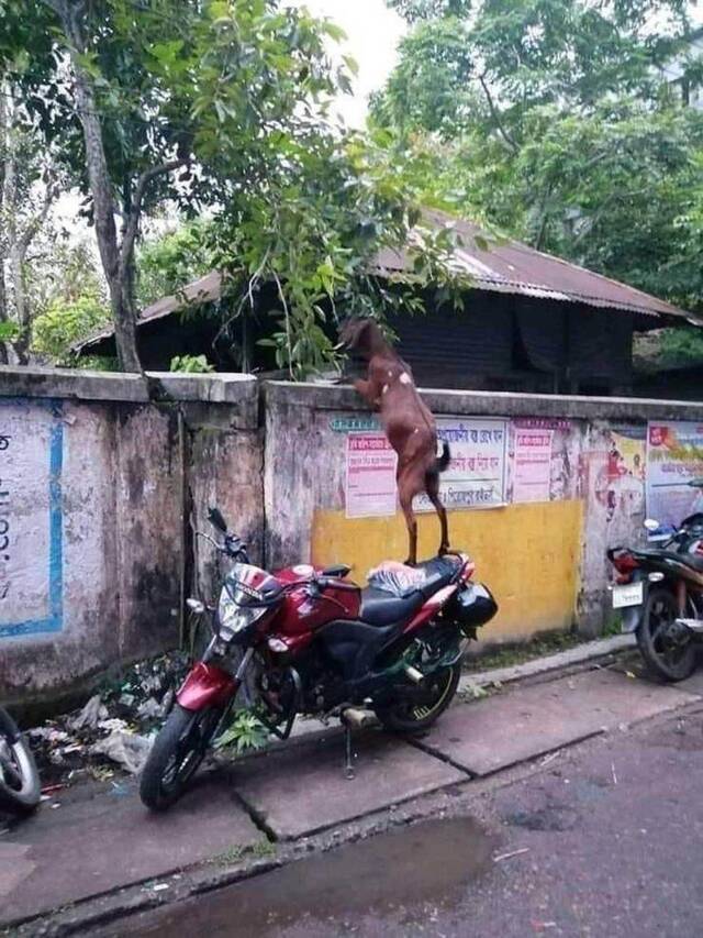 Bildschirmarbeiter - Picdump 26.07.2019