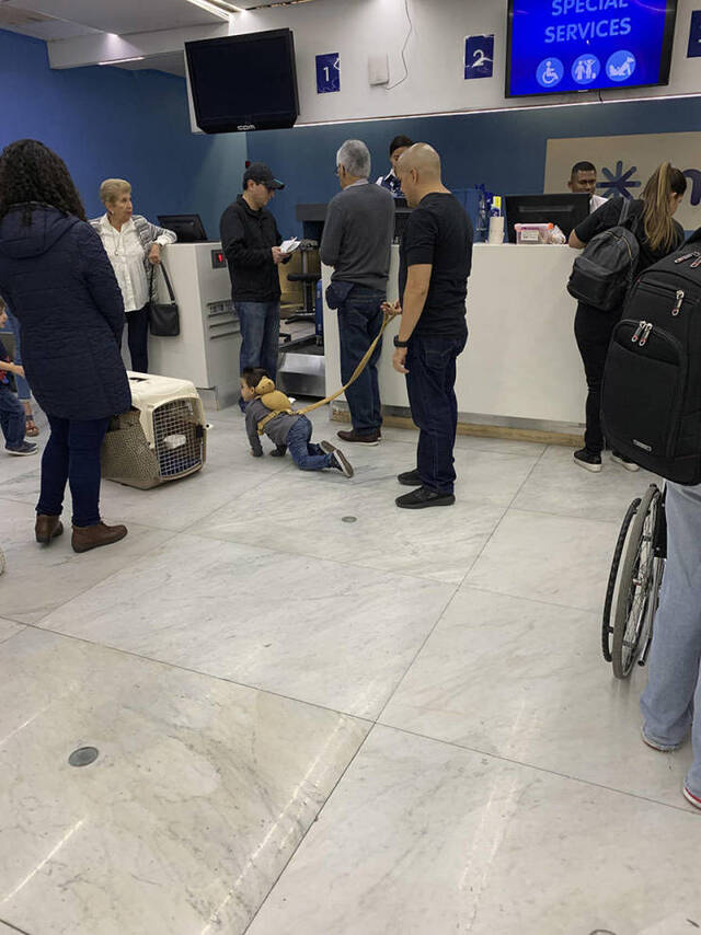 Bildschirmarbeiter - Picdump 26.07.2019