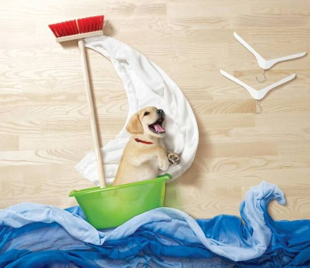 Bildschirmarbeiter - Picdump 26.07.2019