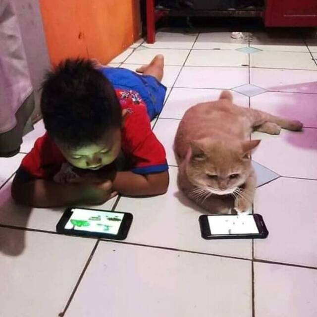 Bildschirmarbeiter - Picdump 26.07.2019