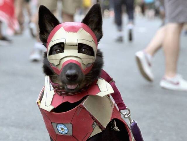 Bildschirmarbeiter - Picdump 26.07.2019