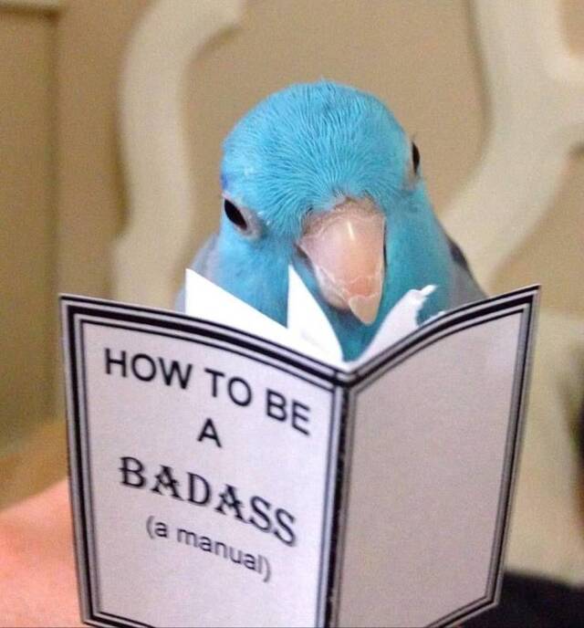 Bildschirmarbeiter - Picdump 26.07.2019