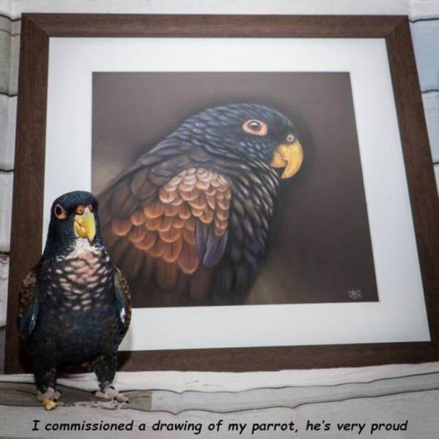 Bildschirmarbeiter - Picdump 26.07.2019