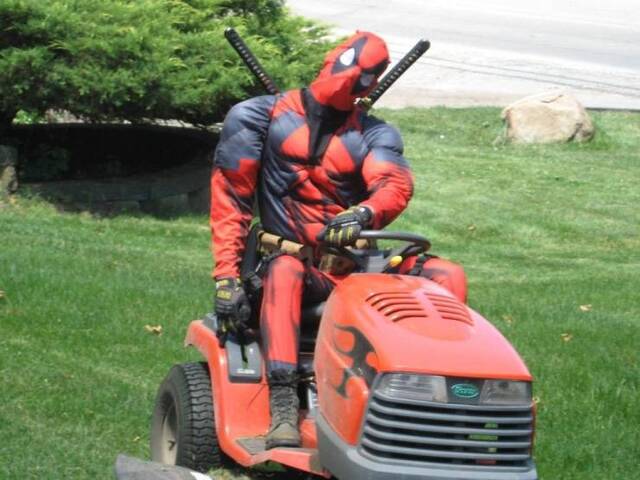 Bildschirmarbeiter - Picdump 26.07.2019