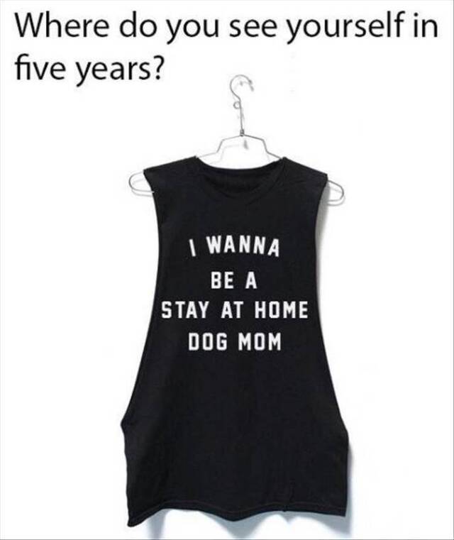 Bildschirmarbeiter - Picdump 26.07.2019