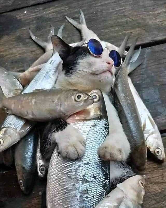 Bildschirmarbeiter - Picdump 26.07.2019