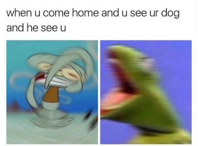 Bildschirmarbeiter - Picdump 26.07.2019