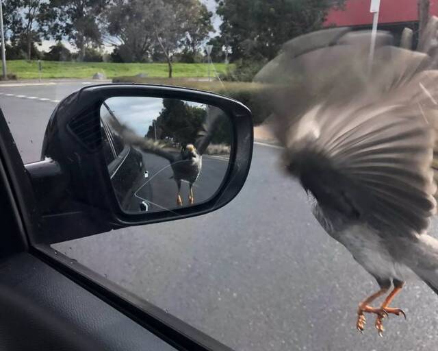 Bildschirmarbeiter - Picdump 09.08.2019 - NACHSCHLAG