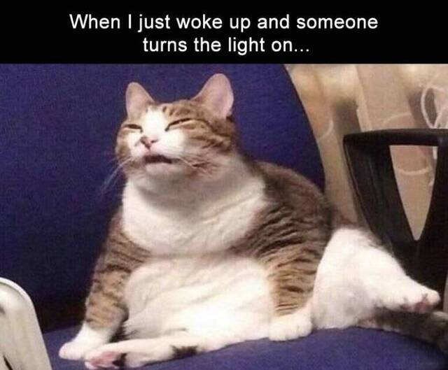 Bildschirmarbeiter - Picdump 09.08.2019 - NACHSCHLAG