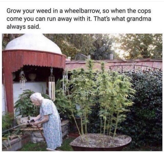 Bildschirmarbeiter - Picdump 09.08.2019 - NACHSCHLAG