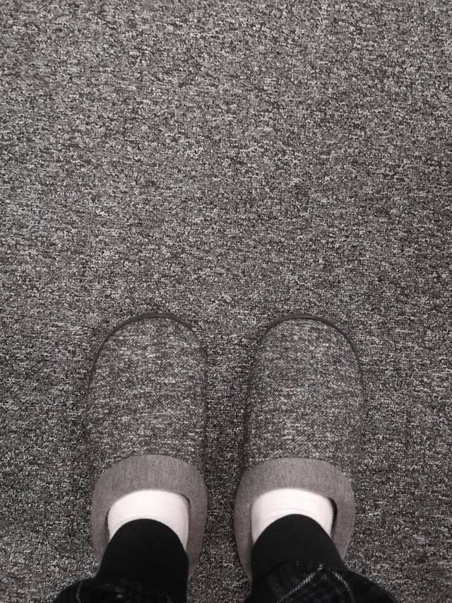 Bildschirmarbeiter - Picdump 09.08.2019 - NACHSCHLAG